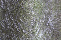 Muirton fibreglass roof work